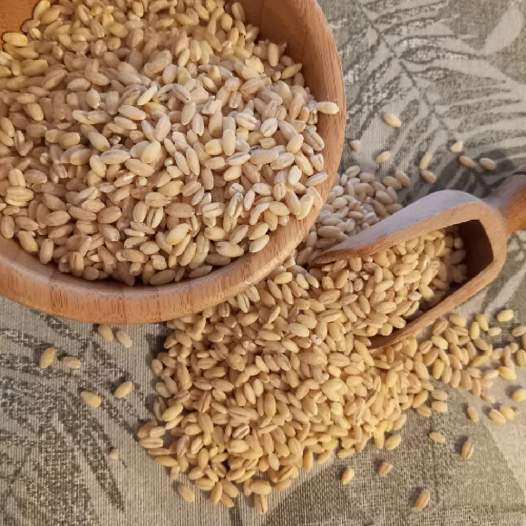 Деловой партнер A10Grain